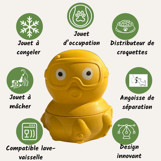 Canard Indestructible
