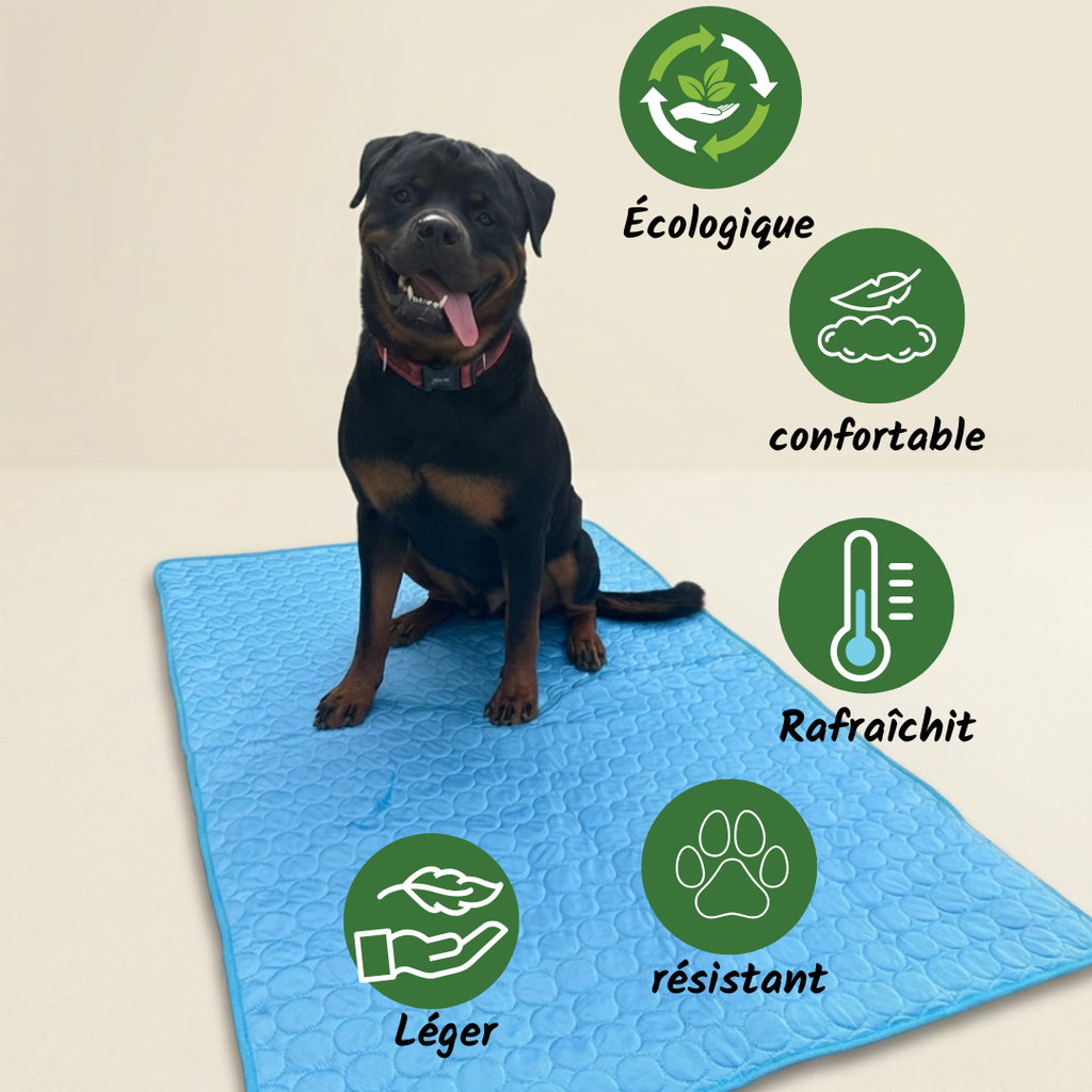 Tapis Rafraîchissant Chien - Fraîcheur Été