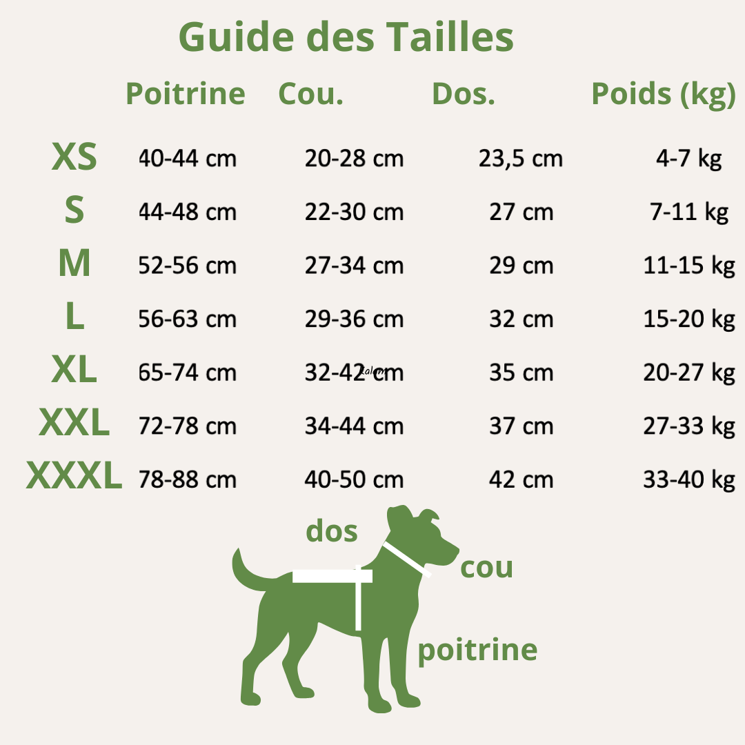 Harnais Anti-Traction Chien - Promenade Douce
