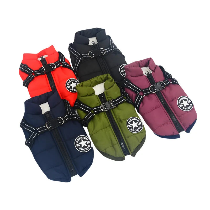 Le manteau avec harnais intégré en cinq couleurs