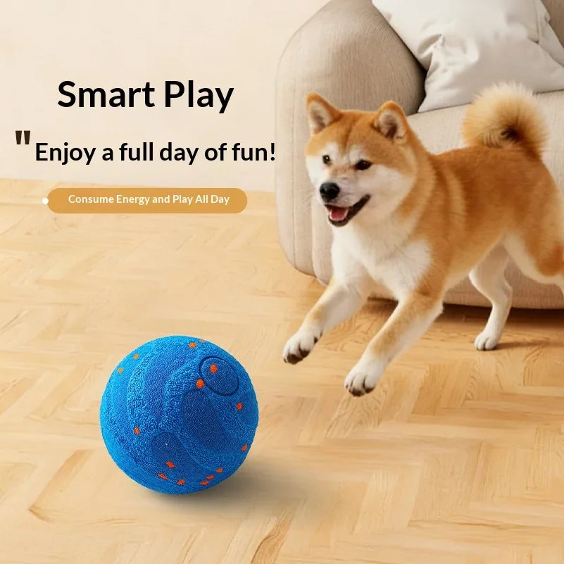Balle Interactive