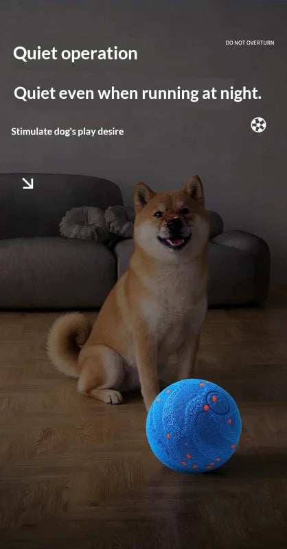 Balle Interactive