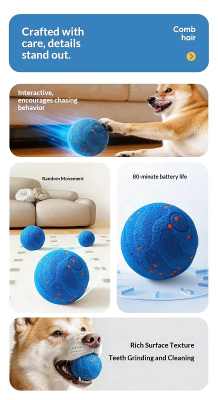 Balle Interactive