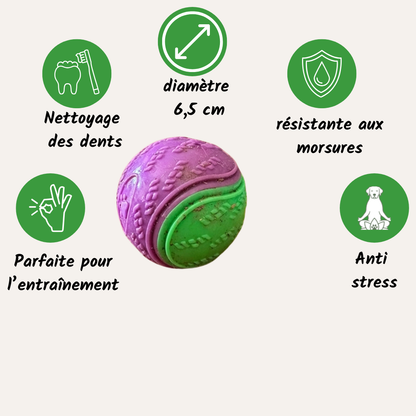 Balle à Mâcher pour chien