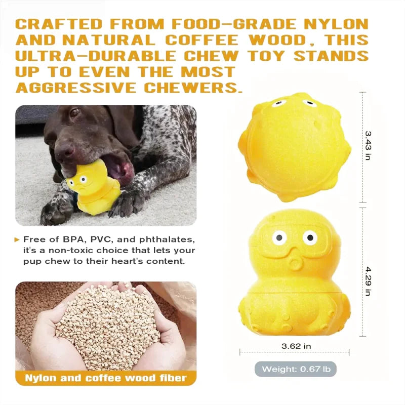 Canard Indestructible