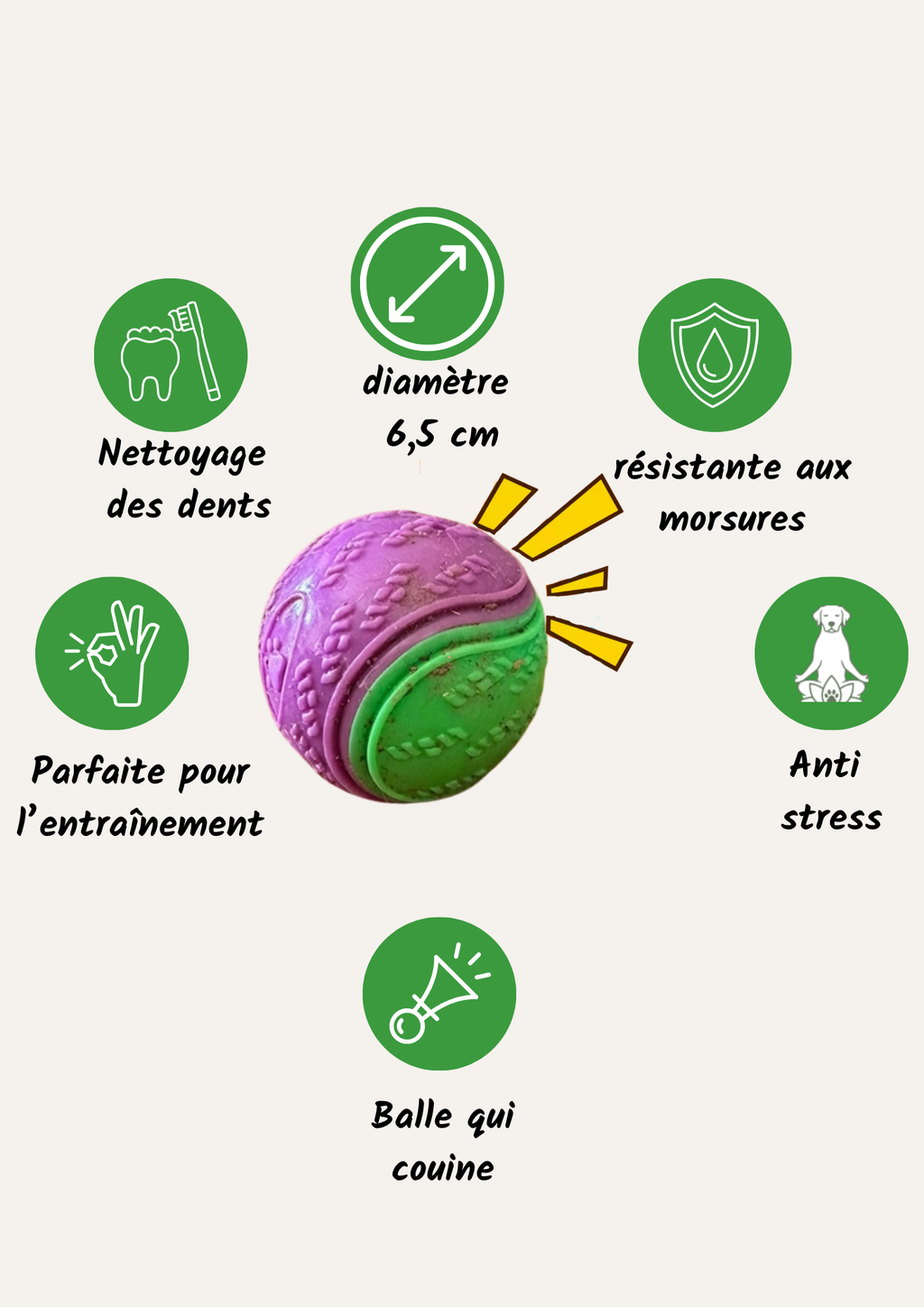 Balle couineuse pour chien : diamètre 6,5 cm, résistante aux morsures, nettoyage des dents