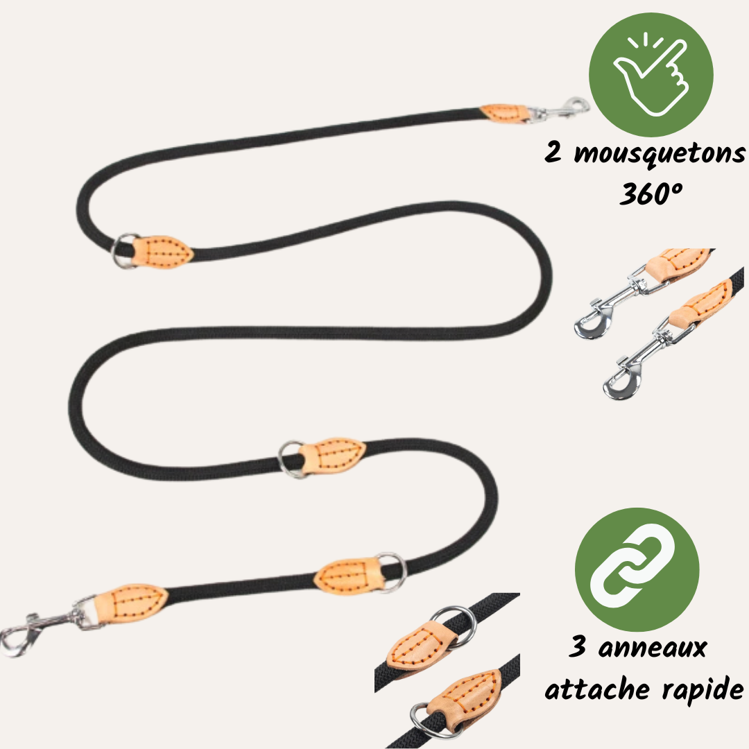 Laisse Multifonctions Chien - Mains Libres 2m