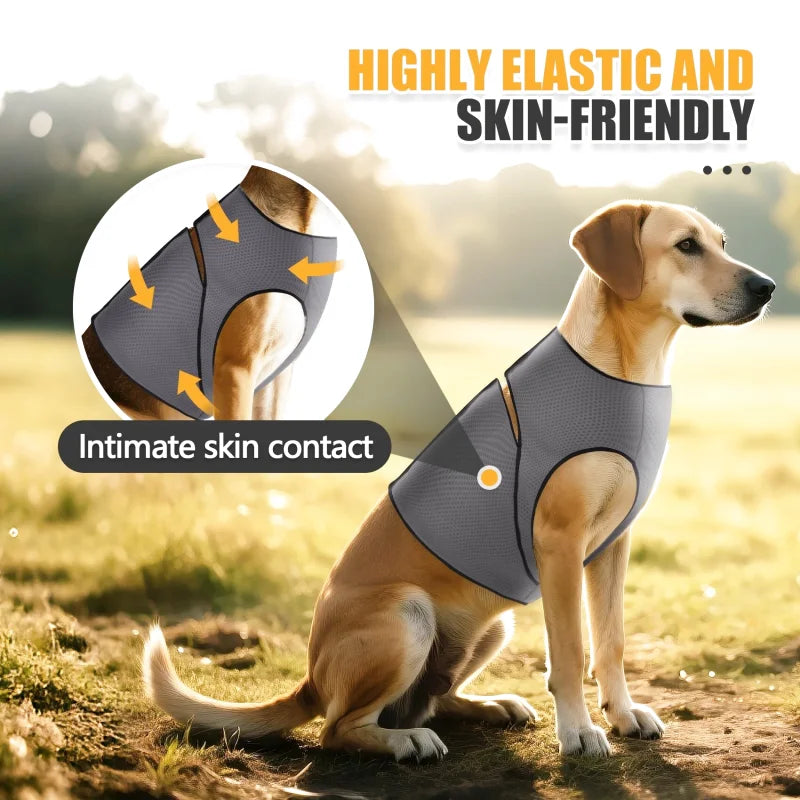 Gilet Anti-Stress