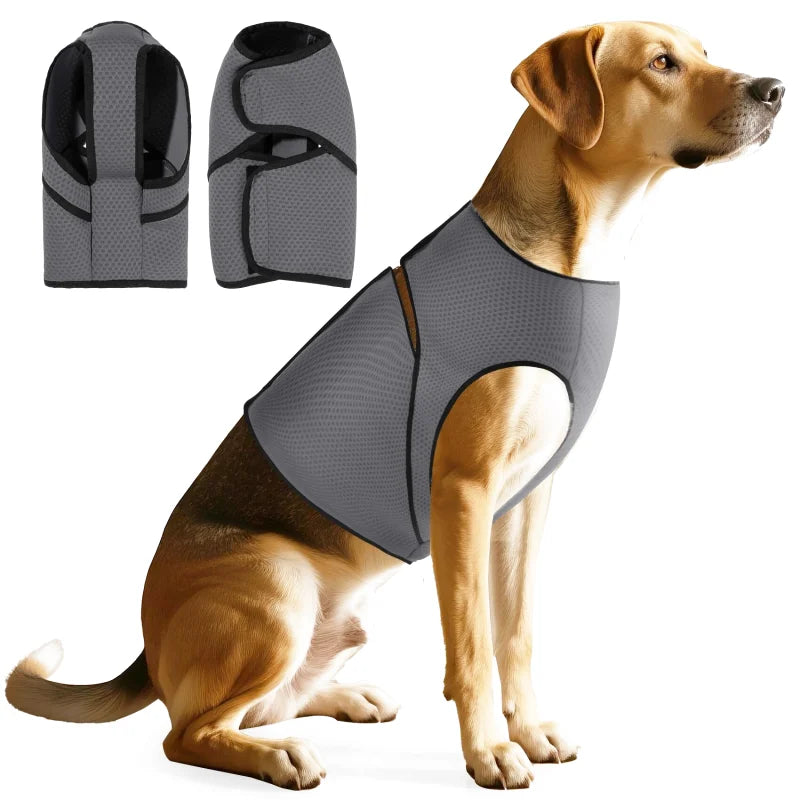 Gilet Anti Stress pour Chien