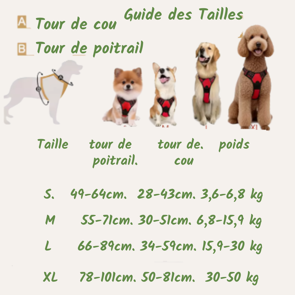 Guide des tailles du harnais anti-traction : tour de poitrail, tour de cou et poids, du S au XL