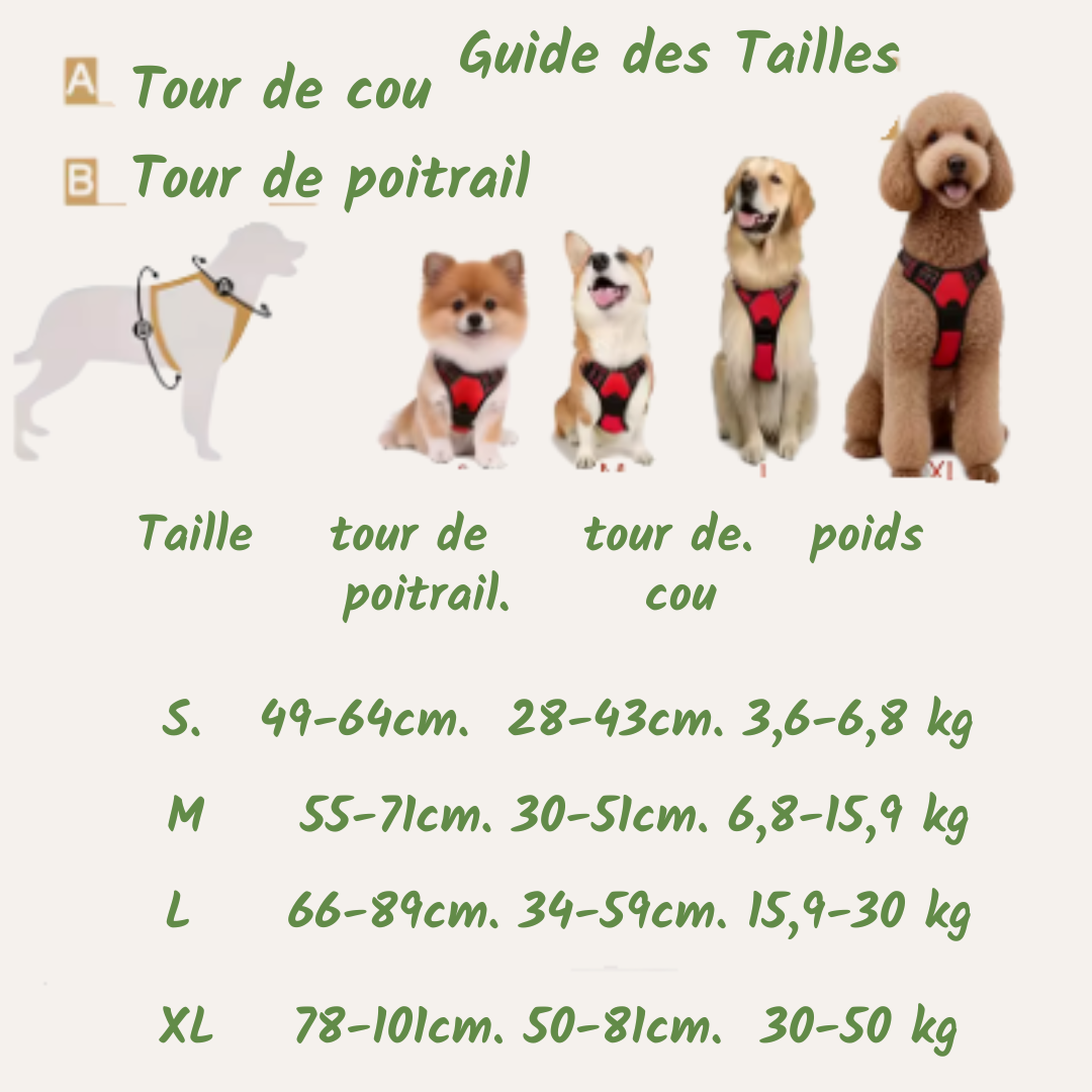 Guide des tailles du harnais anti-traction : tour de poitrail, tour de cou et poids, du S au XL