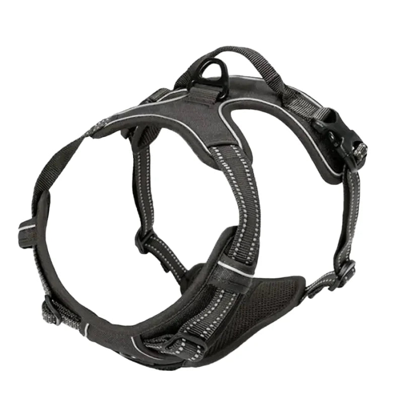 Harnais Anti-Traction