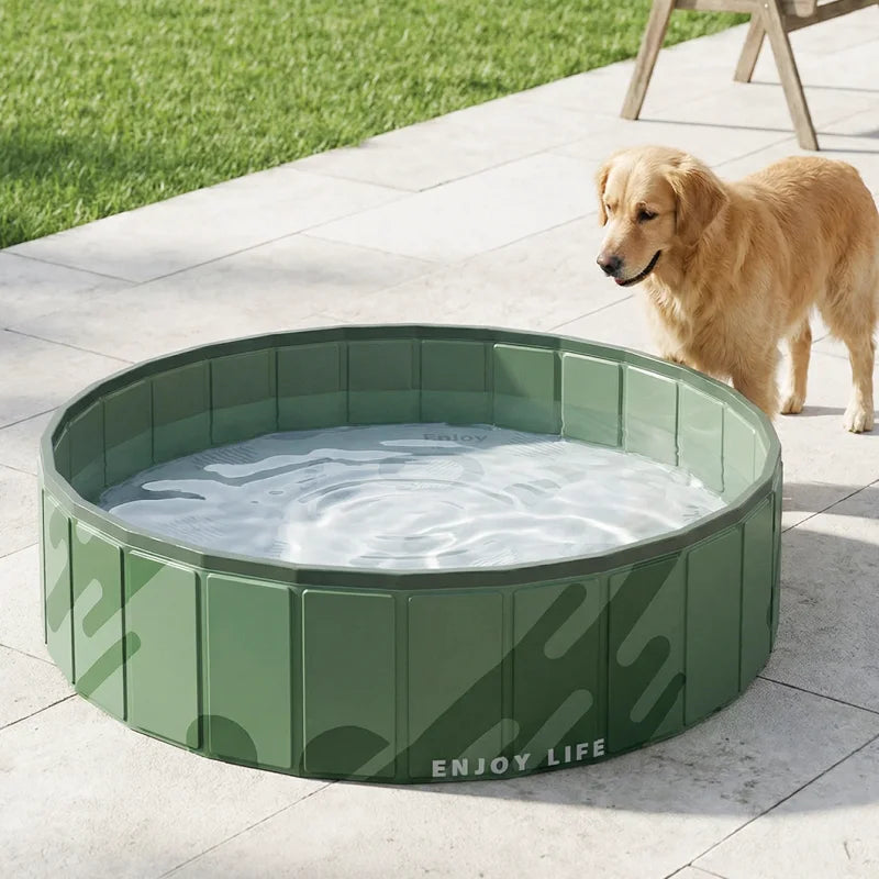 Piscine Pliable pour Chien