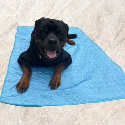 Tapis Rafraîchissant