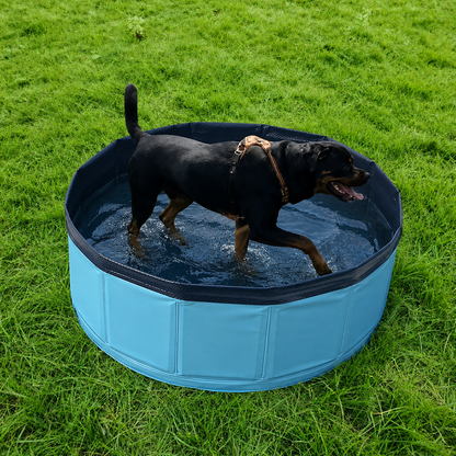 Piscine Pliable rafraîchissante pour chien
