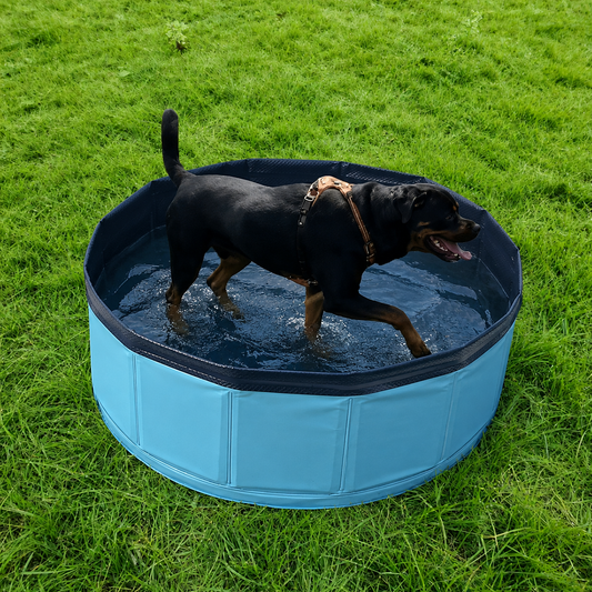 Piscine Pliable rafraîchissante pour chien